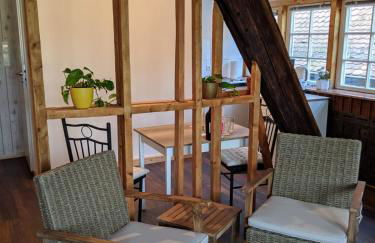 Neckarblick,Natur, Altstadt - Photo 77