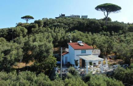 Villa Manu - Foto 15