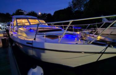 Rhapsody in Blue - Foto 25