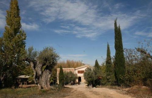 Maset del Riu - Foto 57