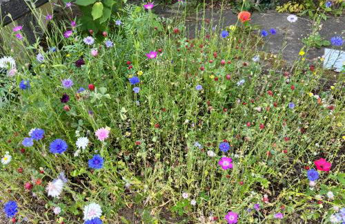 Wohnen im Steigerwald, nahe Bamberg - Foto 19