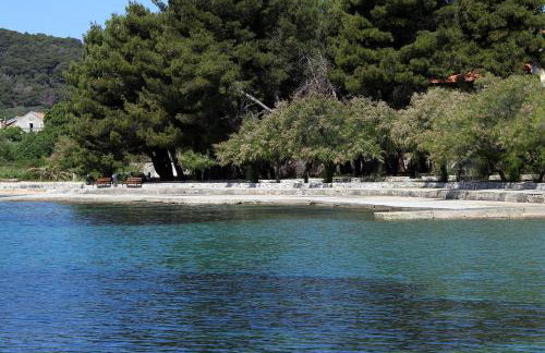 Seaside holiday house Veli Iz - 24531 - Foto 18