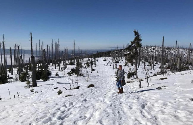 Appartement Bernhard im Bayerischen Wald - Foto 30