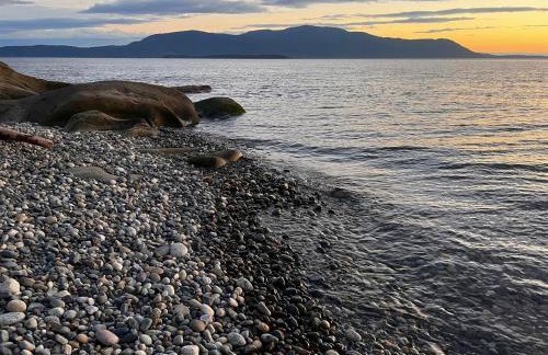 Driftwood Dreams Happy Guests, Lowered Pricing - Foto 41