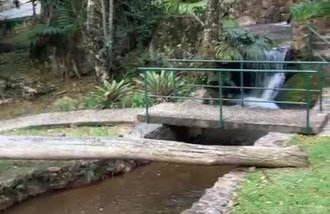 Chalé Banho de Floresta Atibaia Clube de Montanha - Foto 42