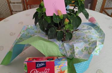 B&B La Finestra Sul Mare - Foto 10