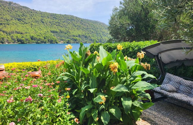 Apartment Ana Broce - Foto 42