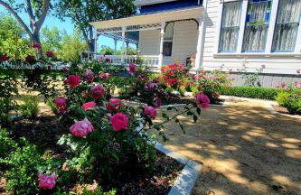 The Queen On Main - Foto 6