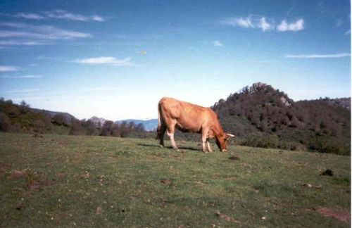 Casa Anhelo El Candíl - Foto 18