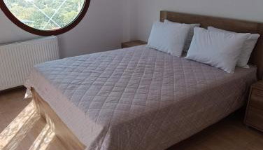 ΑΡΧΟΝΤΙΚΟ ΜΑΝΤΕΙΟ - Foto 5