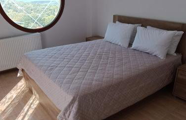 ΑΡΧΟΝΤΙΚΟ ΜΑΝΤΕΙΟ - Photo 5