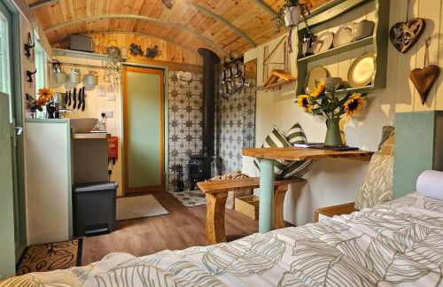 Cozy Cobblers Cabin - Photo 13