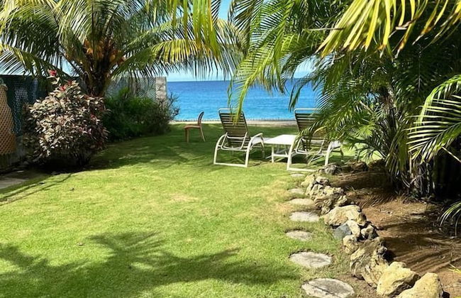 Birdie's Nest - Foto 6