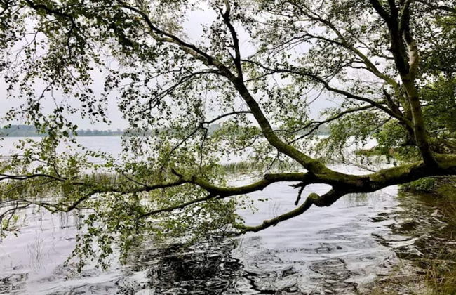 Luxury Lakeside Retreat-by Traum - Foto 35