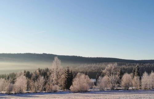 Edelstein Ferienwohnung Philippsreut - Foto 48