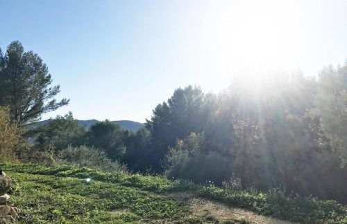 Jardin dans les Pins - Foto 6