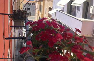 Domus Rubra - Foto 9