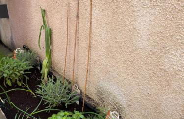 Via Braschi Sessantotto - Foto 24