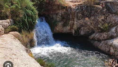 Appartement, vue sur l’étang, proche aéroport. - Foto 2