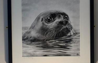 Sea Views Oddfellows - Foto 22