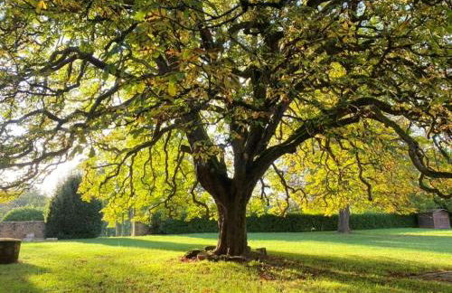 Exceptional XVIICastle in Dordogne Golden Triangle - Foto 32