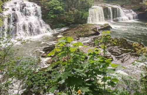 Harperfield Chalet - Photo 33