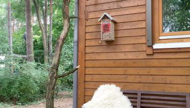 Wald und Wohlsein - Foto 3