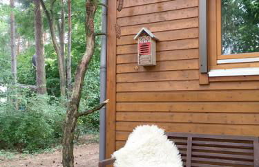 Wald und Wohlsein - Foto 3