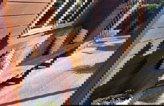 Burn Cottage Retreat - Foto 20