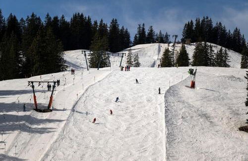 Ferienwohnung Nr 2, neben einem Bauernhof, Roßhaupten, Allgäu - Photo 29