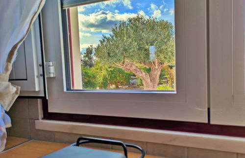 Recanto do Ti Ze II - Foto 6