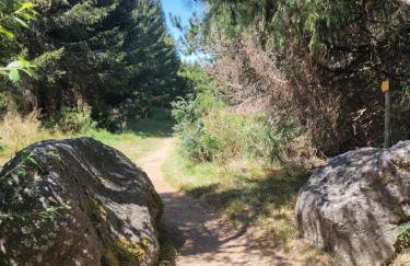 Gîtes de Charme 6 ou 8 personnes en Aubrac chez Sébastien & Stéphanie - Foto 67