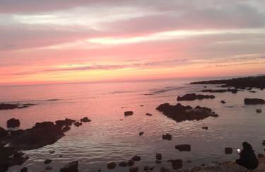 House victor - Foto 14