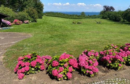 Meerblick-Ostsee - Foto 33