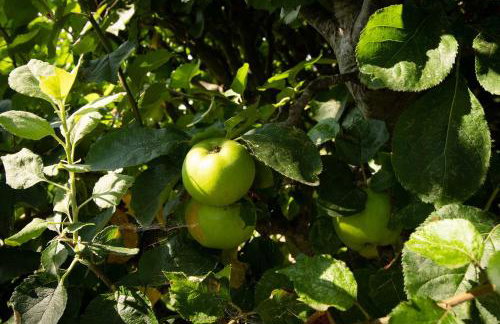 Secluded Rural Retreat Close to Beach - Sleeps 12 - Foto 108