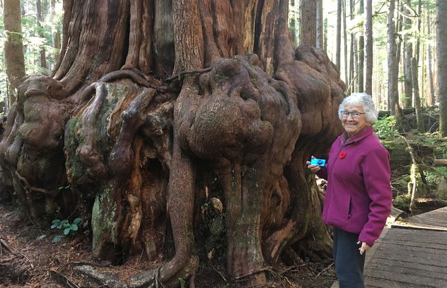 The Great Escape Secluded with Hot Tub - Foto 36