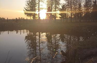 Gospodarstwo Agroturystyczne Irena Naruszewicz - Foto 35