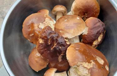 Soubey (Clairbief) - Foto 10