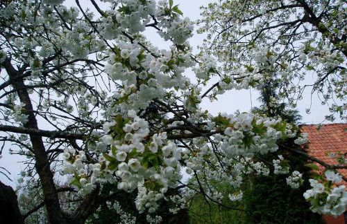 Ferienwohnung Am Walde - Photo 31