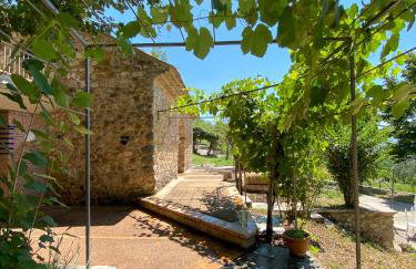 Tenuta Santojanni - Irpinia - Foto 39