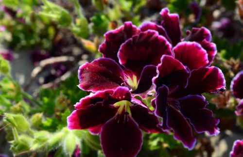 Mythos Holidays & Events - Photo 40