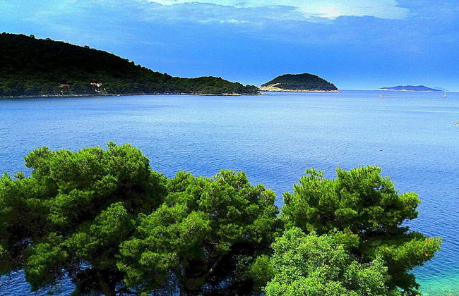 Apartment Matea - Photo 8