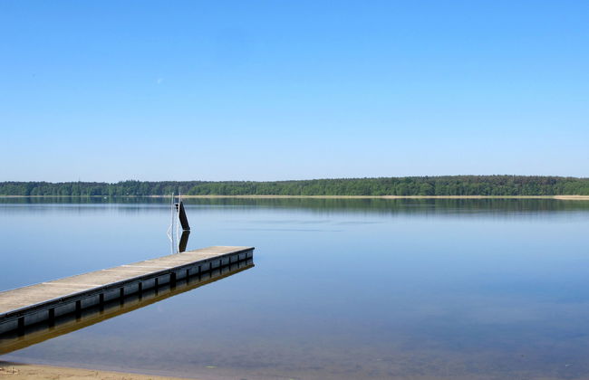 Wald und See - Foto 8