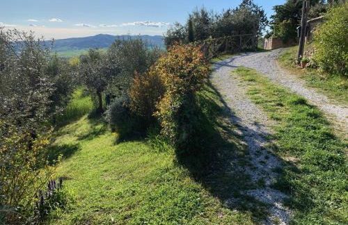 Podere Casallorto - Foto 8