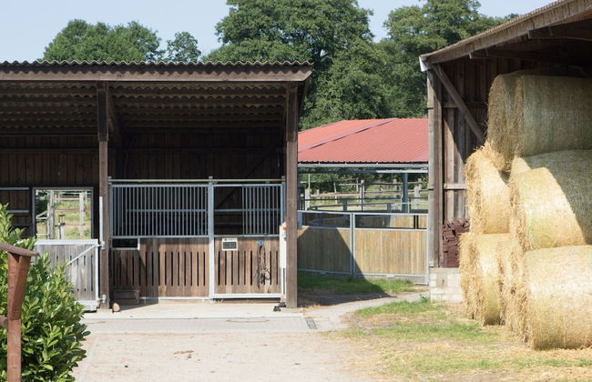 Gemutliche Unterkunft in Eschede - Foto 16