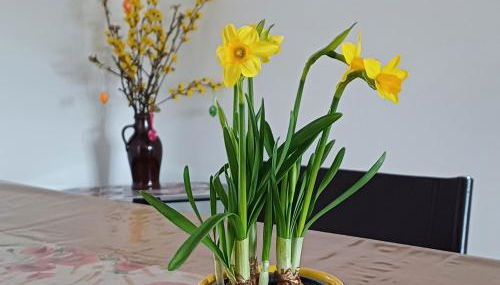 Berlin - Potsdam - Fläming - Foto 3