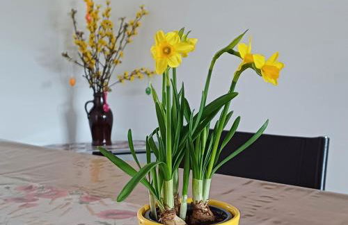 Berlin - Potsdam - Fläming - Foto 3