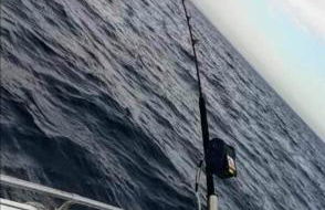 Pascasio17 - Foto 17