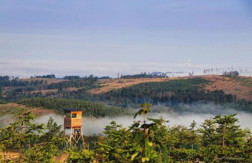 Vedders Berghütte - Foto 34