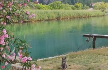 Bella Arte Dubrovnik - Photo 44